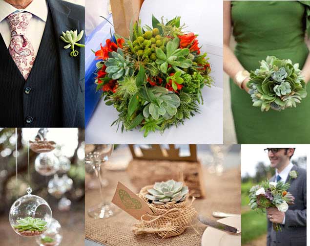 details decor mariage plantes succulentes